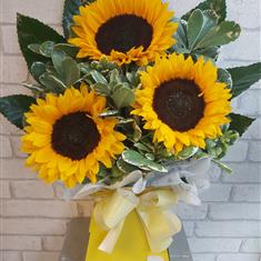Sunflower Trio 