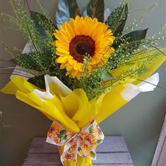 Sunflower kiss