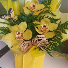 Orchid arrangement florist choice 