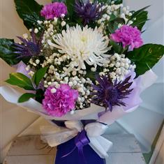Purple Delight 