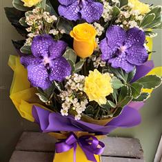 Yellow and purple passion 