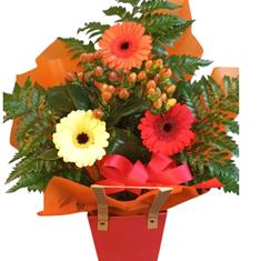 Germini gift bag 