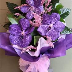 Pretty Orchids 