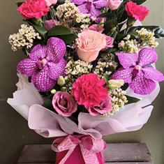 Hot pink passion 