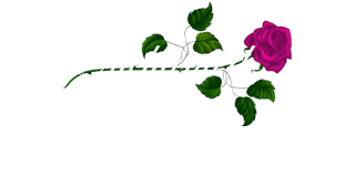 Enchanted Flowers Paisley